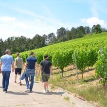 Die Lenus GmbH macht ihren Teamausflug zum  Weingut der Familie Huller. Im Anschluß stand noch ein Workshop im Fokus der fünf Lenus-Werte.