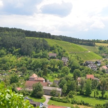 Die Lenus GmbH macht ihren Teamausflug zum  Weingut der Familie Huller. Im Anschluß stand noch ein Workshop im Fokus der fünf Lenus-Werte.