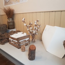 Die Lenus GmbH macht ihren Teamausflug zum  Weingut der Familie Huller. Im Anschluß stand noch ein Workshop im Fokus der fünf Lenus-Werte.