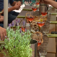 Die Lenus GmbH macht ihren Teamausflug zum  Weingut der Familie Huller. Im Anschluß stand noch ein Workshop im Fokus der fünf Lenus-Werte.